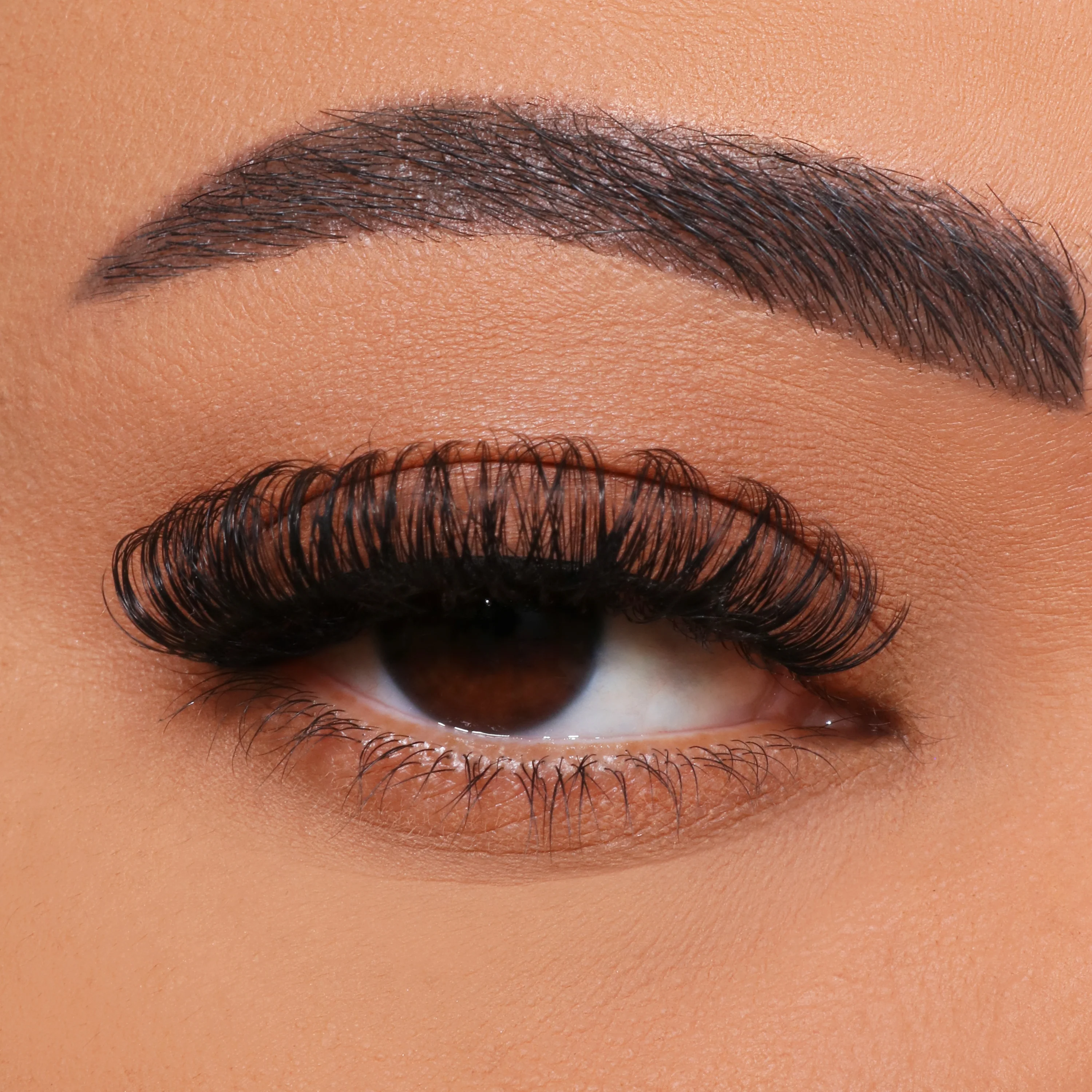 Si të DIY shartim të qerpikëve me shumë lule?